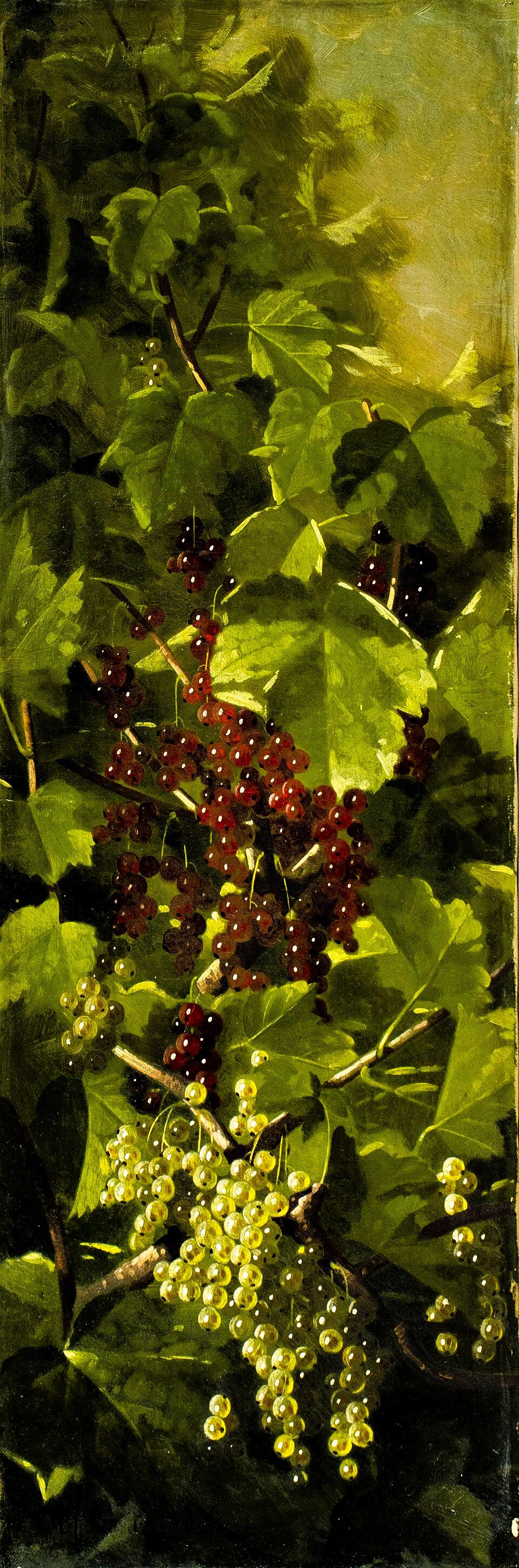Photo : Autres à saisir